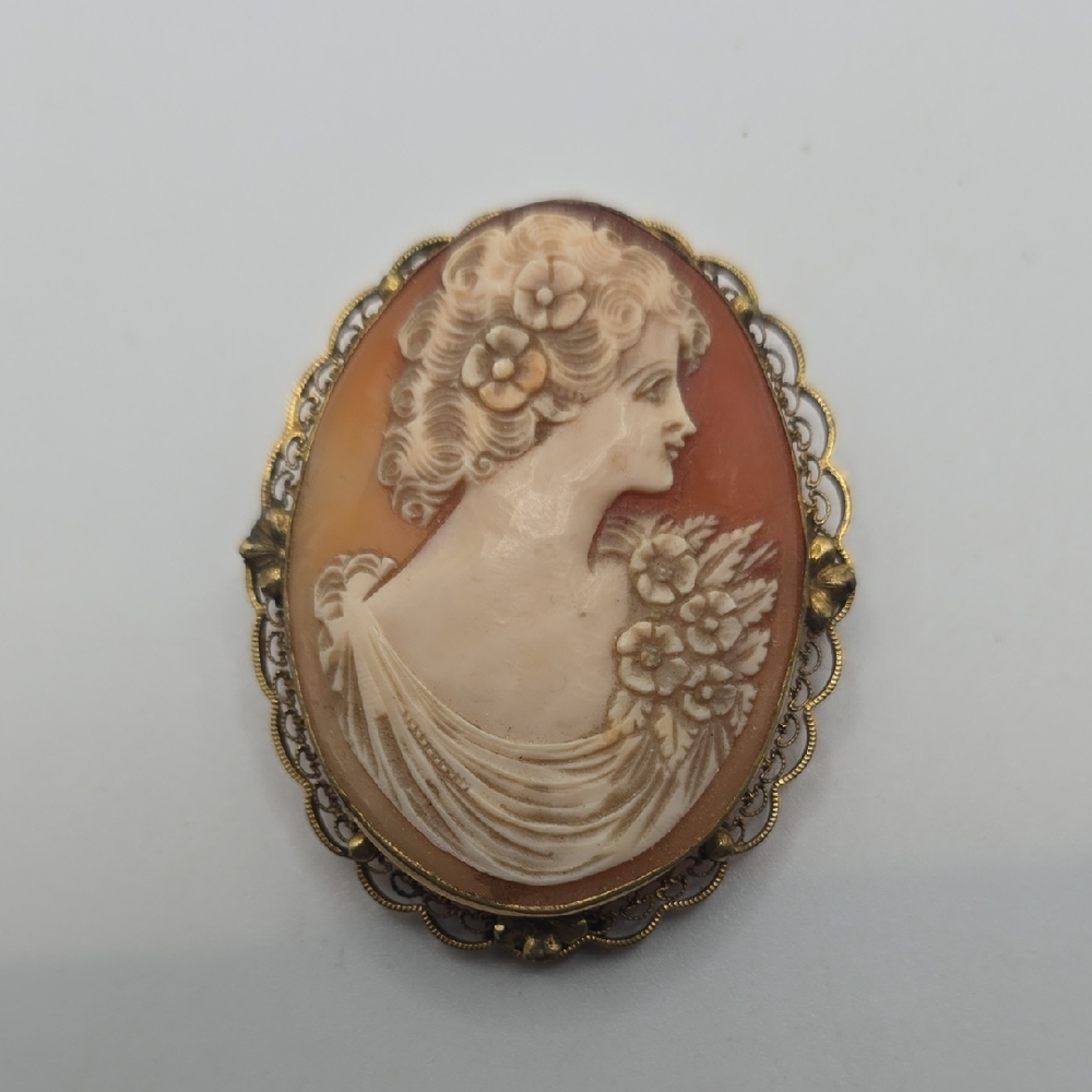 Vintage Cameo Brooch with Gold Filled Accents - Picture 1 of 5